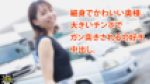 4156209 cap 1