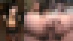 4374028 cap 1